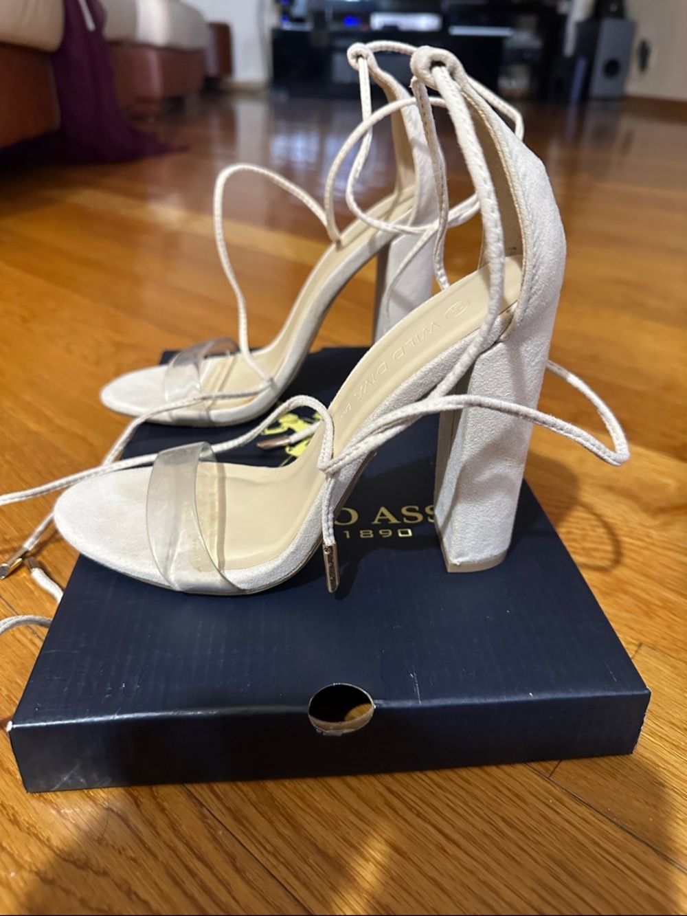 Wild Diva Lounge Clear Strap Lace-Up Heels – Nude/Beige